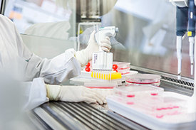 Frau mit Handschuhen pipettiert Proben im Labor