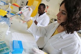 Eine Forscherin und ein Forscher bearbeiten Proben im Labor.