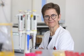 Porträt von Professorin Martina Sester