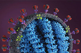 Spike-Protein auf Oberfläche SARS-CoV-2