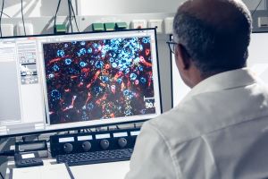Ein Forscher betrachtet am Bildschirm ein mikroskopisches Bild