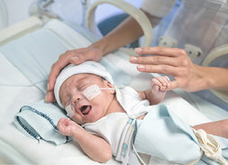 Frühgeborenes Baby in einem Brutkasten