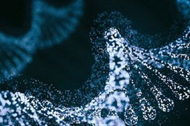Mithilfe eines speziellen Mechanismus, der RNA-Interferenz, kann auch Virus-RNA zerstört werden.