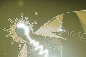 18 Proteine der befallenen Zellen spielen während einer SARS-CoV-2-Infektion eine wichtige Rolle – zwei von ihnen sind besonders interessant. Über sie lässt sich die Vermehrung des Virus möglicherweise gezielt hemmen. 