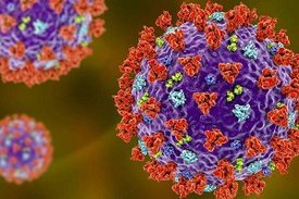 Symbolbild des Coronavirus