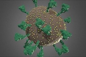 Grafik des Corona-Virus