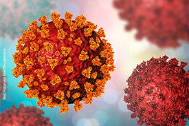 Coronavirus